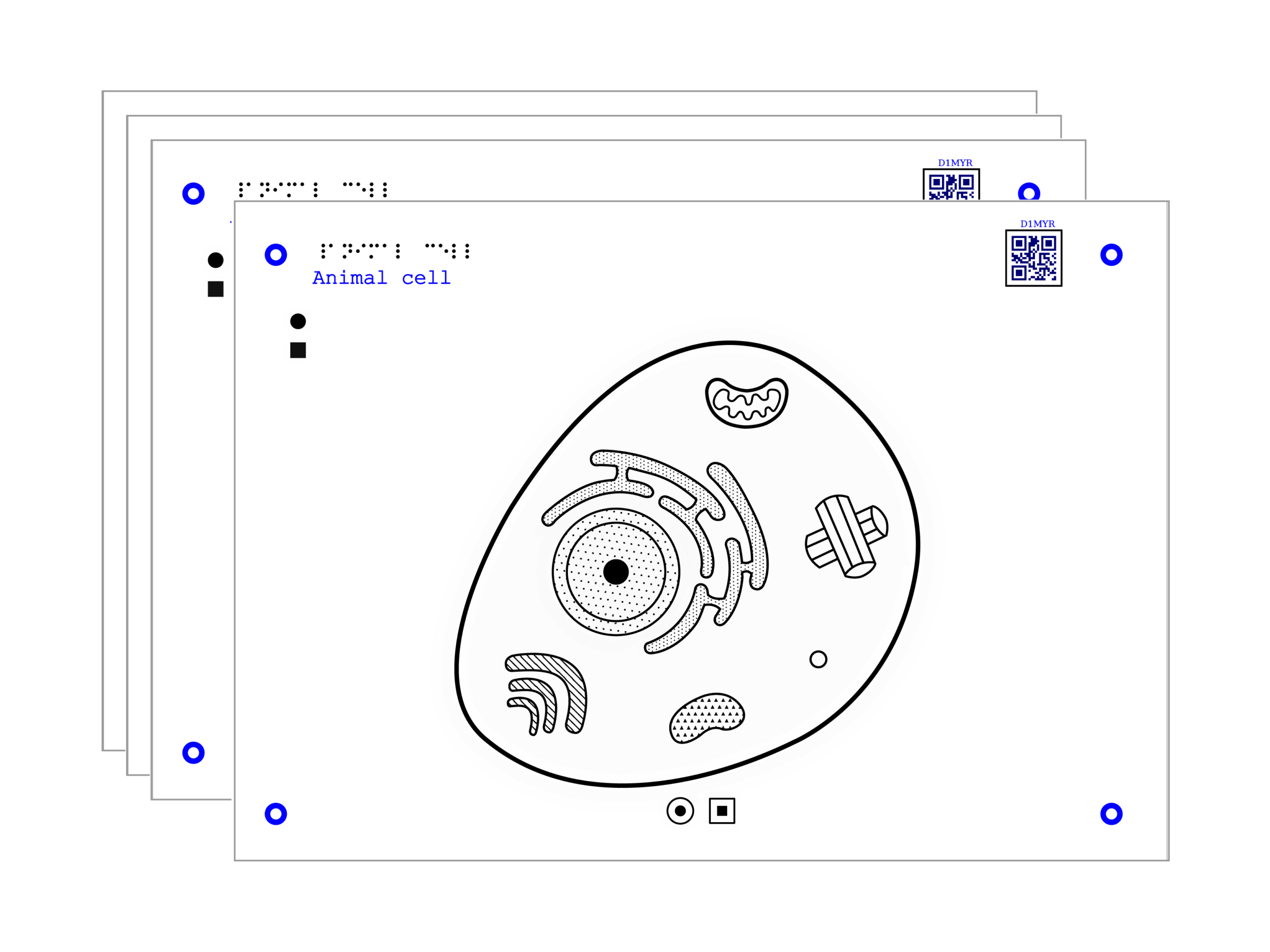 BioTact Graphic Animal Cell