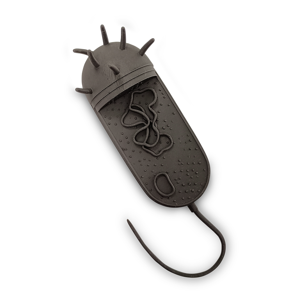 3D Model Procaryotic cell